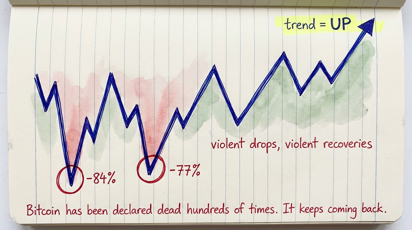 Bitcoin zigzag with violent drops of -84% and -77% but overall trend pointing up — it keeps coming back