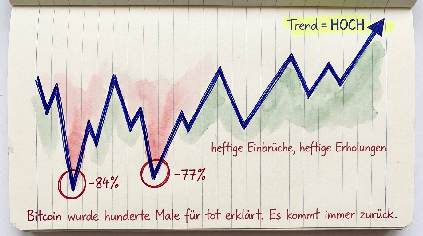 Bitcoin-Zickzack mit heftigen Einbrüchen von -84 % und -77 %, aber der Gesamttrend zeigt nach oben — es kommt immer zurück